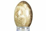 Swirling Polished Chocolate Calcite Egg - Pakistan #350179-1